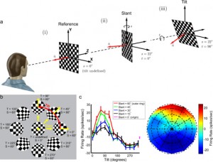 Figure 1_Point